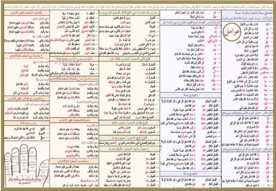 Avamil Şeması Ali Kara Kolektif