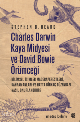 Charles Darwin Kaya Midyesi ve David Bowie Örümceği;Bilimsel İsimler M