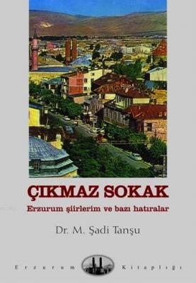 Çıkmaz Sokak M. Şadi Tanşu