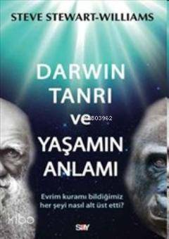 Darwin Tanrı ve Yaşamın Anlamı Steve Stewart Williams