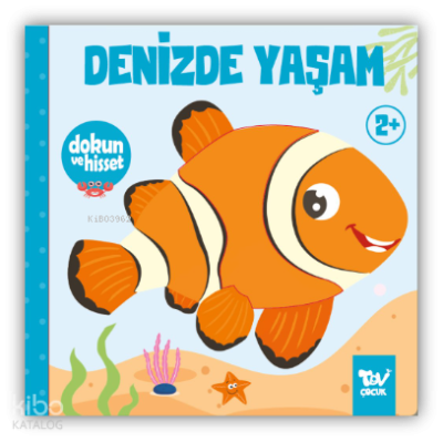 Dokun ve Hisset Denizde Yaşam Kolektif