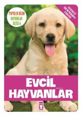 Evcil Hayvanlar Kolektif