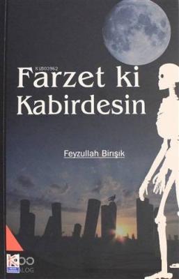 Farzet ki Kabirdesin Feyzullah Birışık