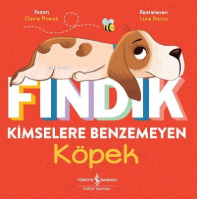 Fındık Kimselere Benzemeyen Köpek Claire Mowat