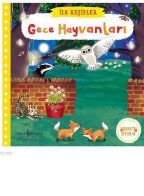 Gece Hayvanları Kolektif