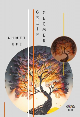 Gelip Geçmek Ahmet Efe