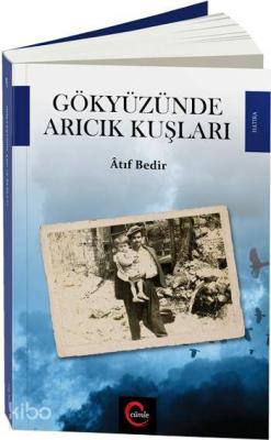 Gökyüzünde Arıcık Kuşları Atıf Bedir