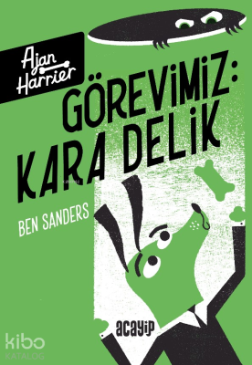 Görevimiz Kara Delik - Ajan Harrier Ben Sanders