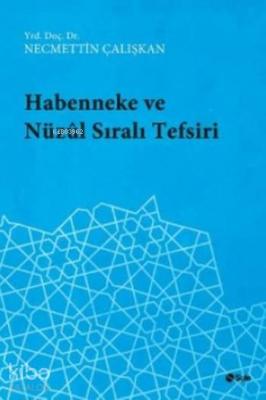 Habenneke ve Nüzul Sirali Tefsiri Necmettin Çalışkan