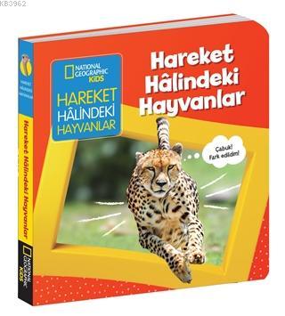 Hareket Halindeki Hayvanlar - İlk Kitaplarım Serisi Ciltli Ruth A. Mus