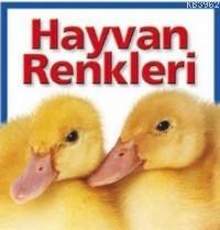 Hayvan Renkleri (Ciltli) Kolektif