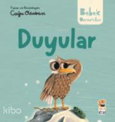 Hikayeli İlk Kavramlarım - Duyular M. Sacide Kafalı