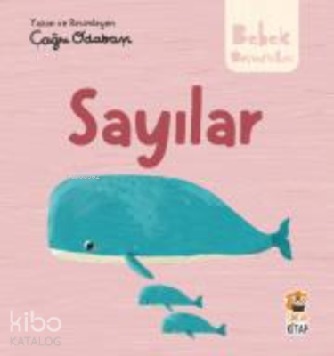 Hikayeli İlk Kavramlarım ;Sayılar M. Sacide Kafalı