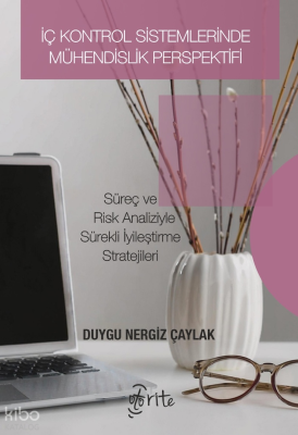 İç Kontrol Sistemlerinde Mühendislik Perspektifi;Süreç ve Risk Analizl