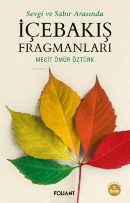 İçebakış Fragmanları Mecit Ömür Öztürk