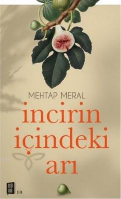 İncirin İçindeki Arı Mehtap Meral