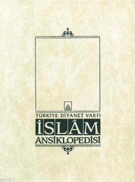 İslam Ansiklopedisi 35. Cilt Komisyon