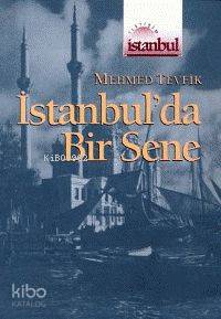 İstanbul'da Bir Sene Mehmet Tevfik