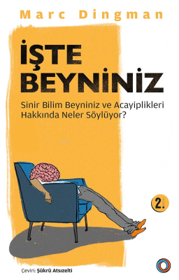 İşte Beyniniz Marc Dingman