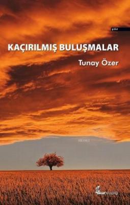 Kaçırılmış Buluşmalar Tunay Özer