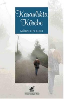 Karanlıkta Körebe Mürselin Kurt