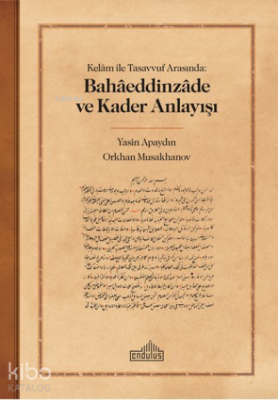 Kelam ile Tasavvuf Arasında: Bahaeddinzade ve Kader Anlayışı Yasin Apa