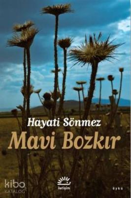 Mavi Bozkır Hayati Sönmez