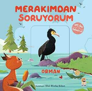 Merakımdan Soruyorum - Orman Kolektif