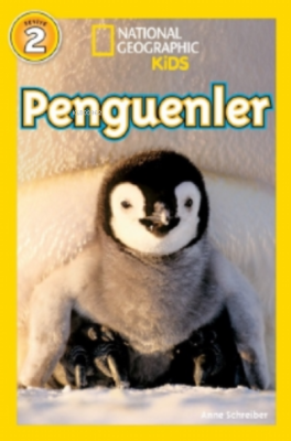 National Geographic Kids – Penguenler Anne Schreiber