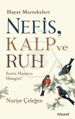 Nefis Kalp ve Ruh;Hayat Mertebeleri Senin Hayatın Hangisi? Nuriye Çele