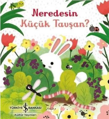 Neredesin Küçük Tavşan? Sam Taplin