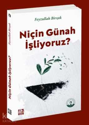 Niçin Günah İşliyoruz? Feyzullah Birışık