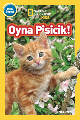 Oyna Pisicik Shira Evans