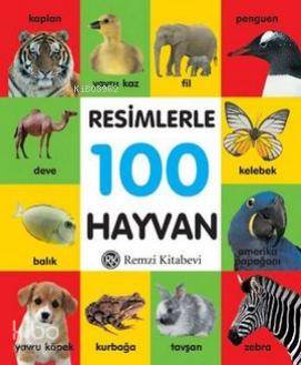 Resimlerle 100 Hayvan - Küçük Boy Komisyon