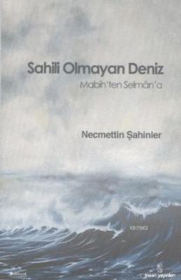 Sahili Olmayan deniz Necmettin Şahin