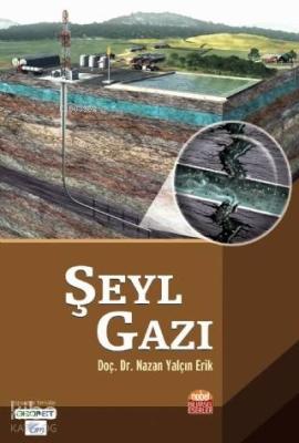 Şeyl Gazı Nazan Yalçın Erik