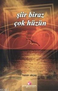 Şiir Biraz Çok Hüzün Hasan Akçay