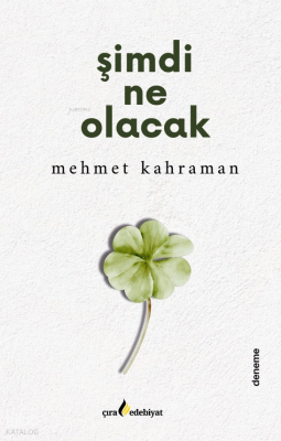 Şimdi Ne Olacak Mehmet Kahraman