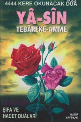 Ya-Sin Tebareke-Amme